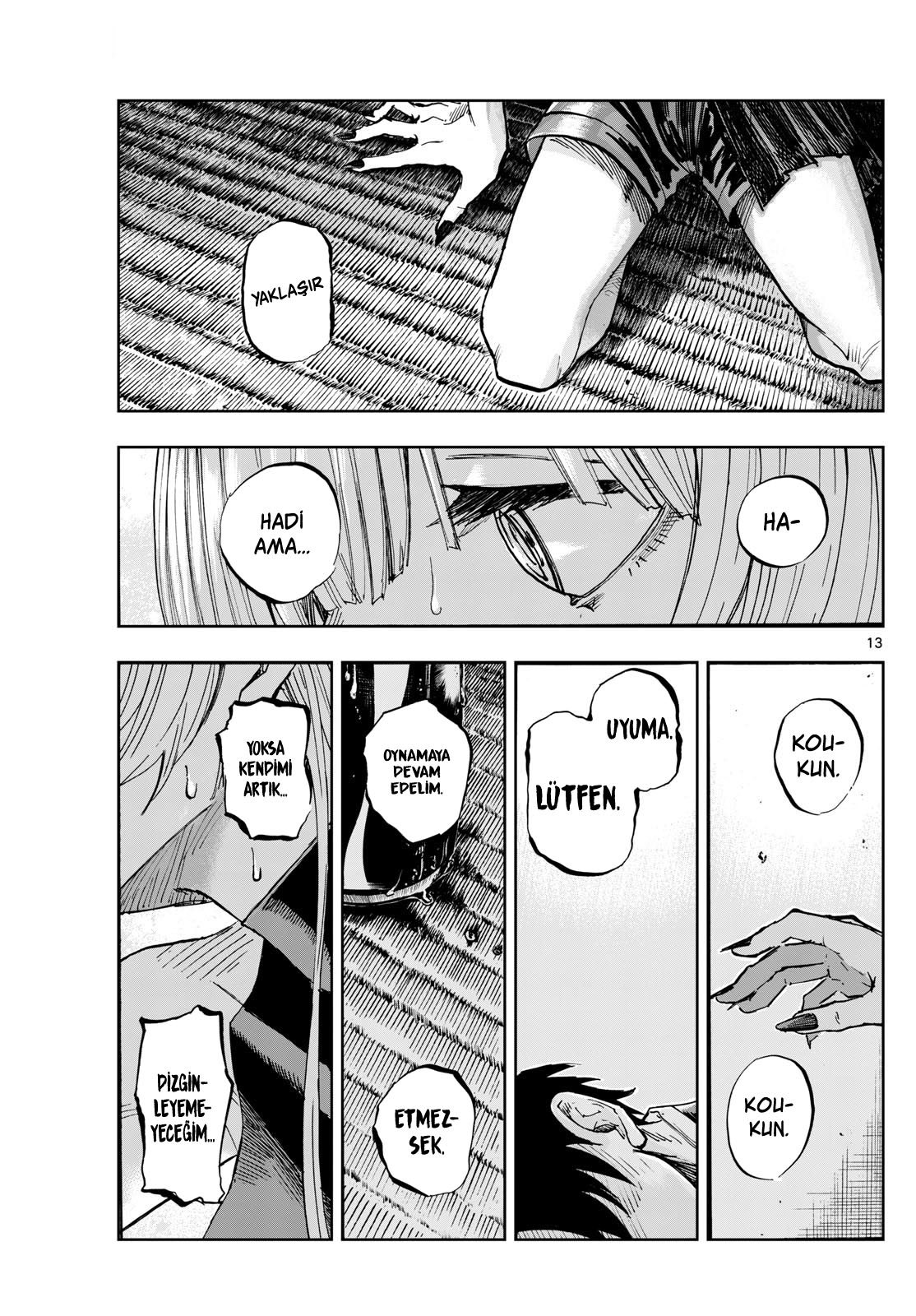 Sayfa 13