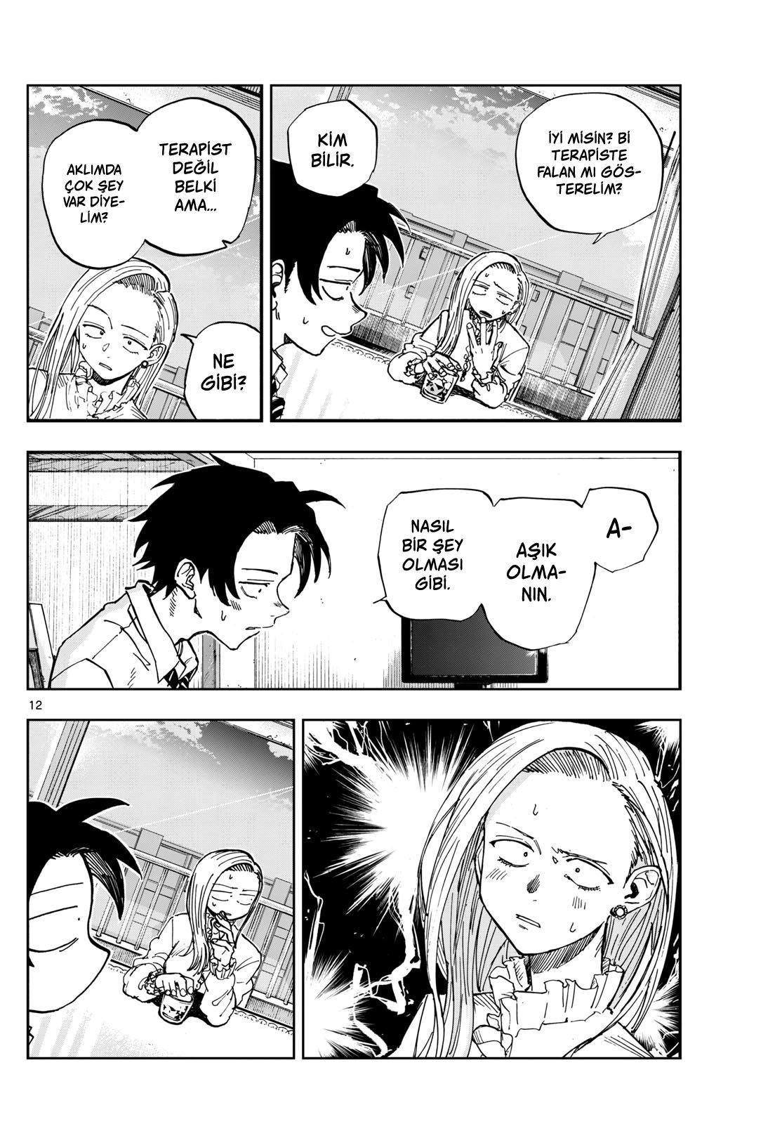 Sayfa 12