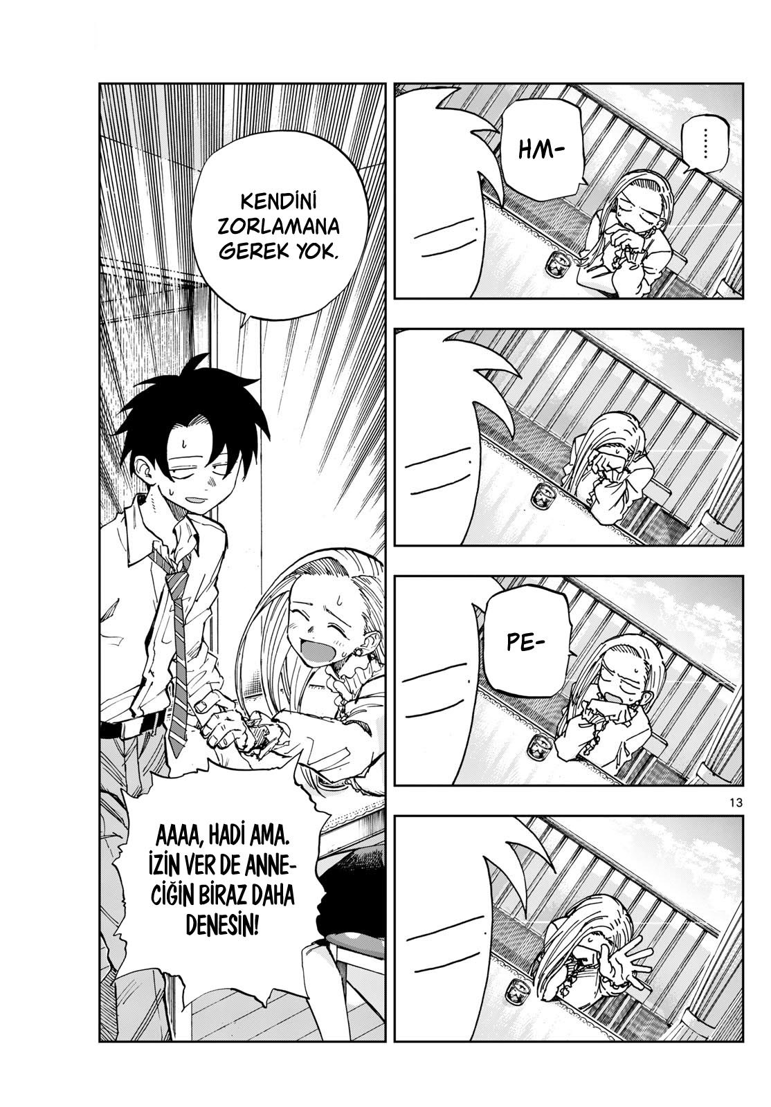 Sayfa 13