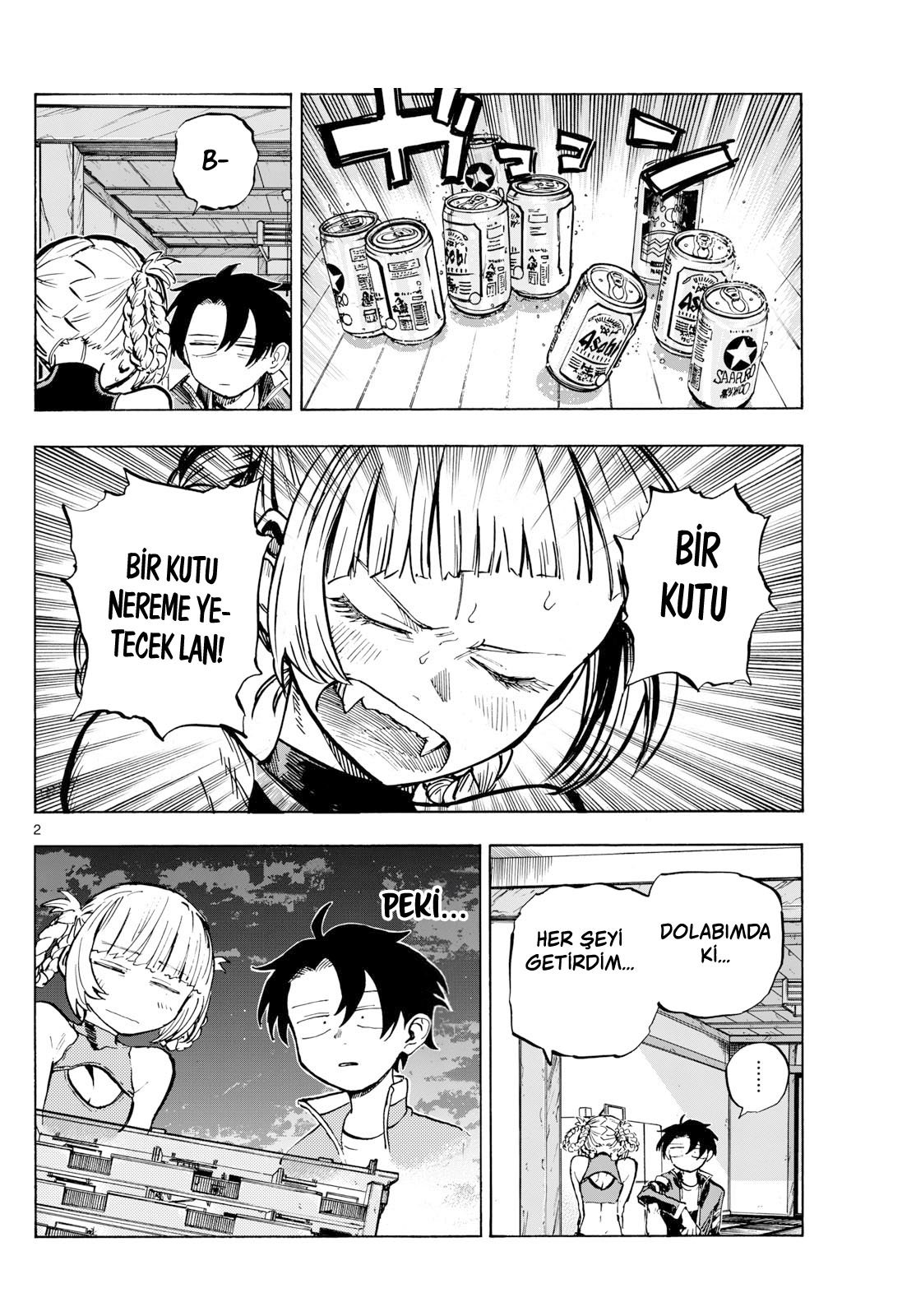Sayfa 2