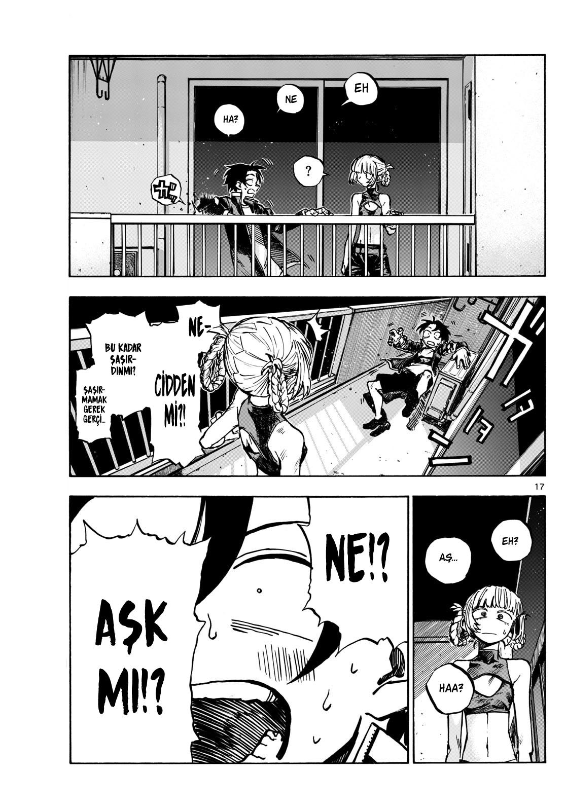 Sayfa 17