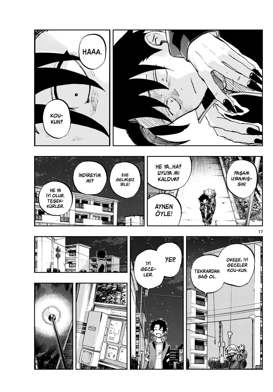 Sayfa 17
