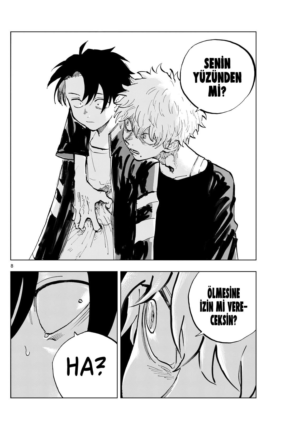 Sayfa 8