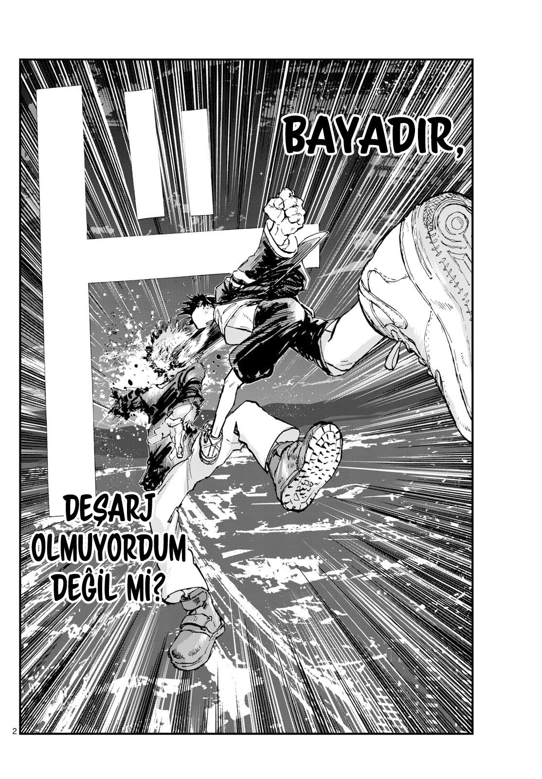 Sayfa 2