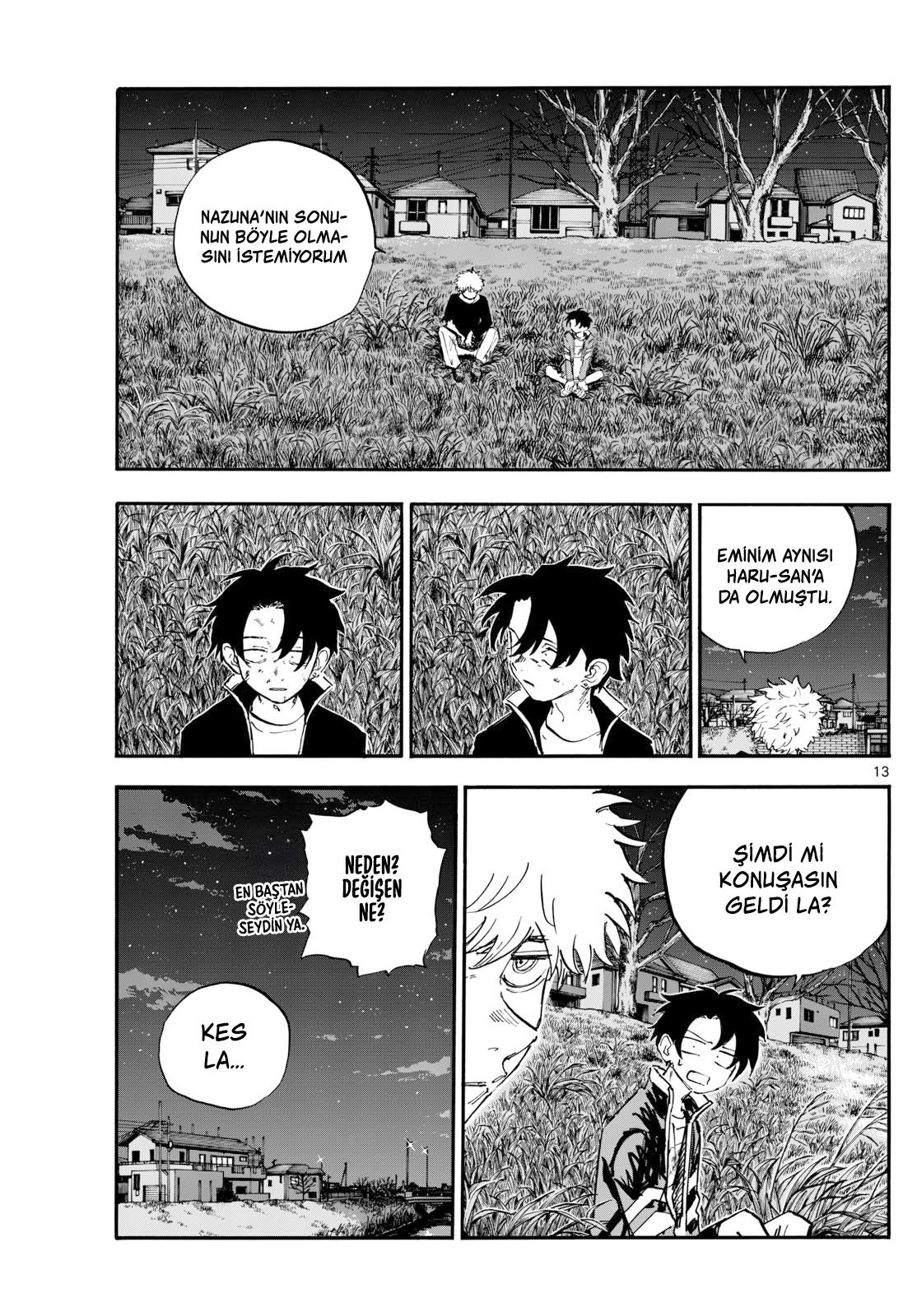 Sayfa 13
