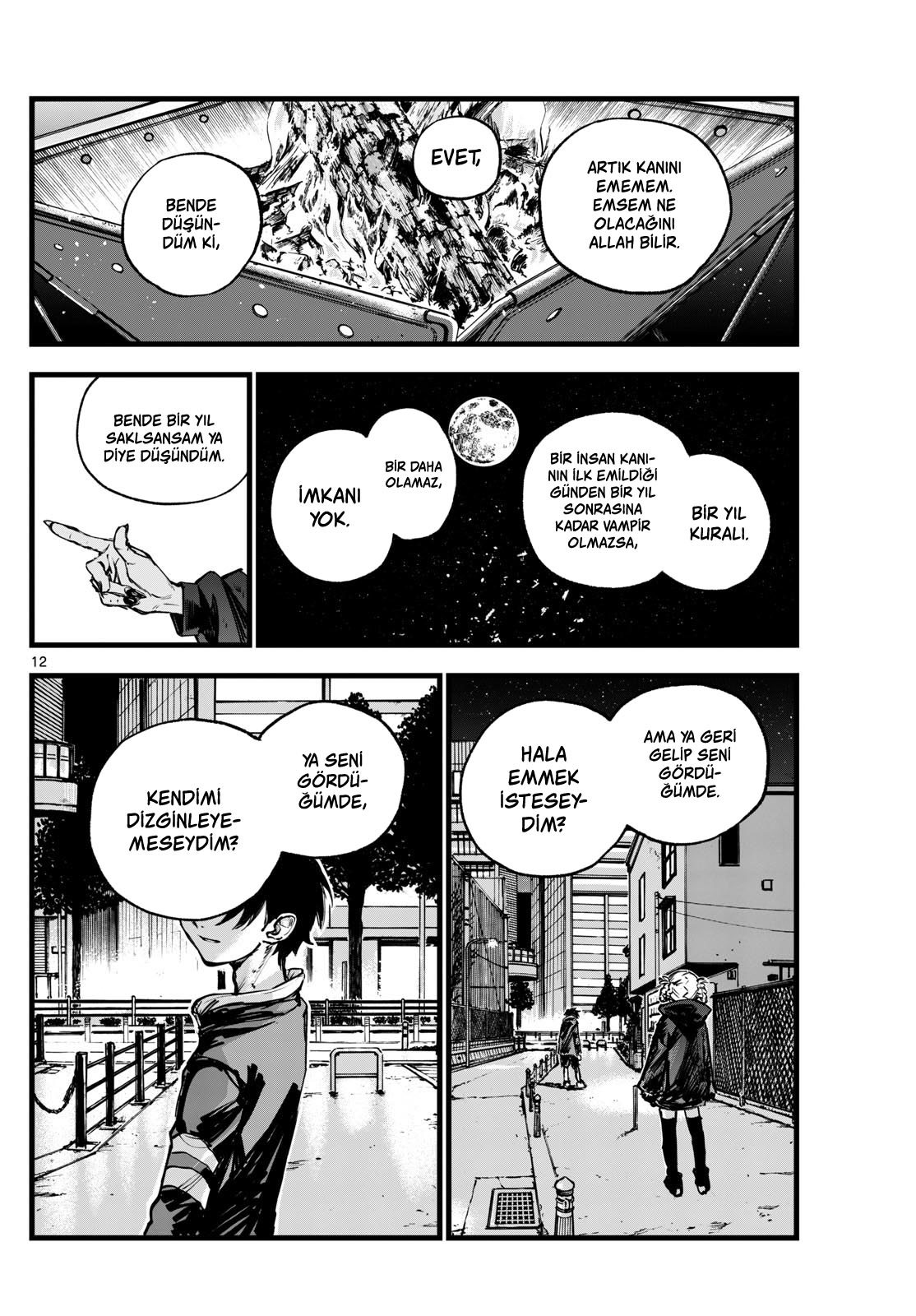 Sayfa 12