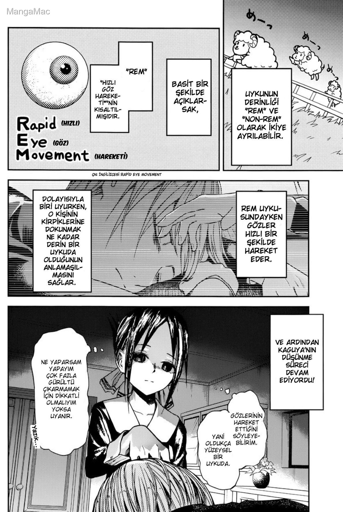 Kaguya-sama: Love Is War Bölüm 10 - Sayfa 6