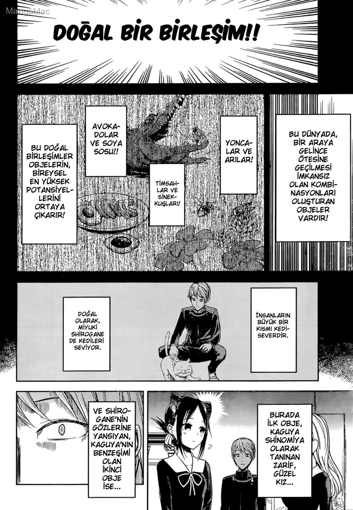 Kaguya-sama: Love Is War Bölüm 17 - Sayfa 4