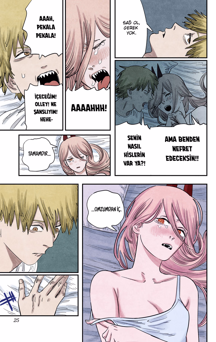 Chainsaw Man Bölüm 71 - Sayfa 17