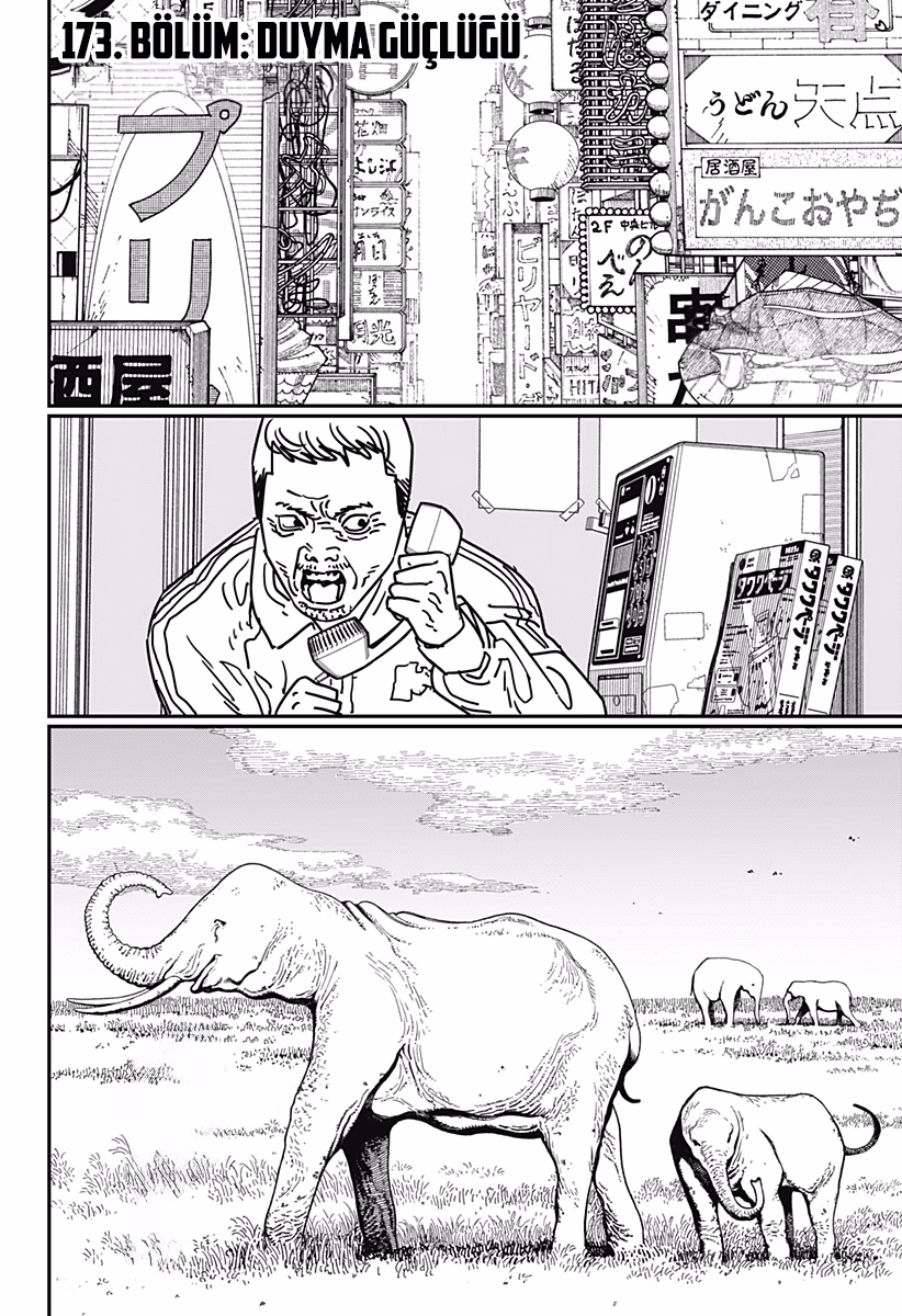 Chainsaw Man Bölüm 173 - Sayfa 1