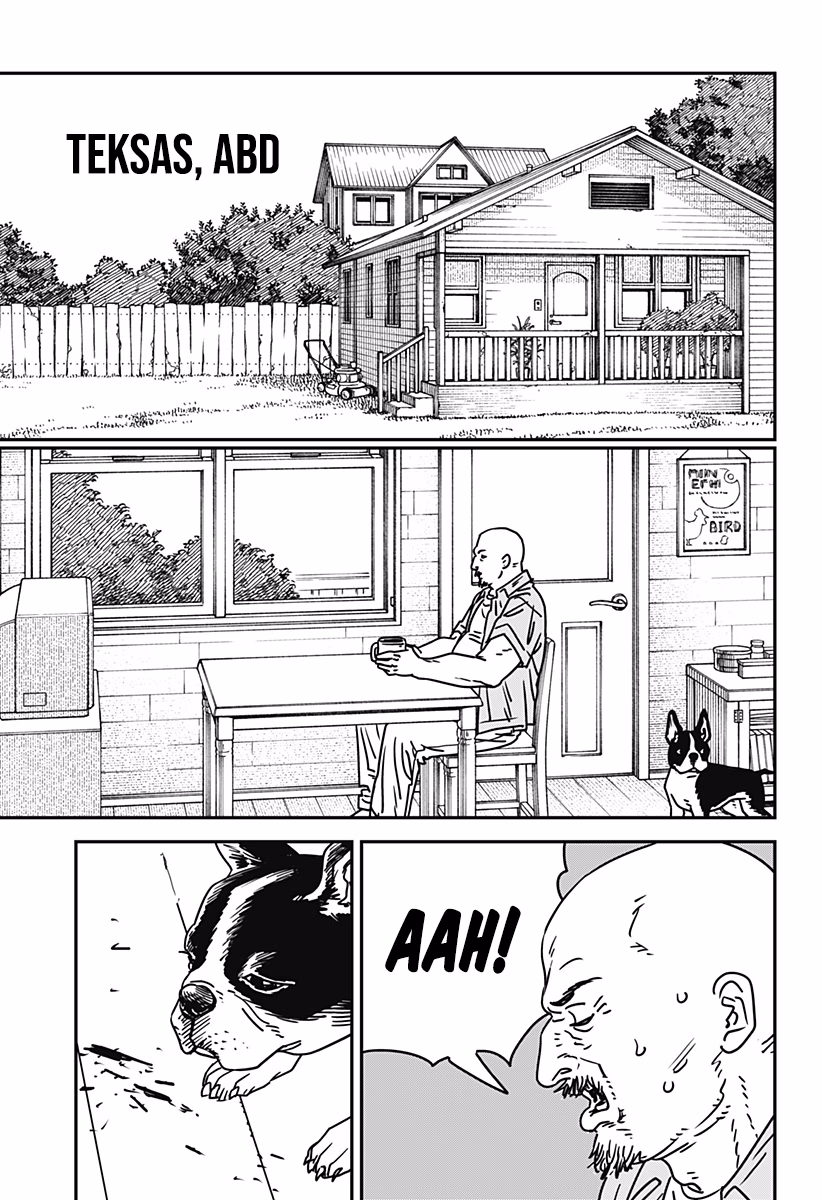 Chainsaw Man Bölüm 177 - Sayfa 13