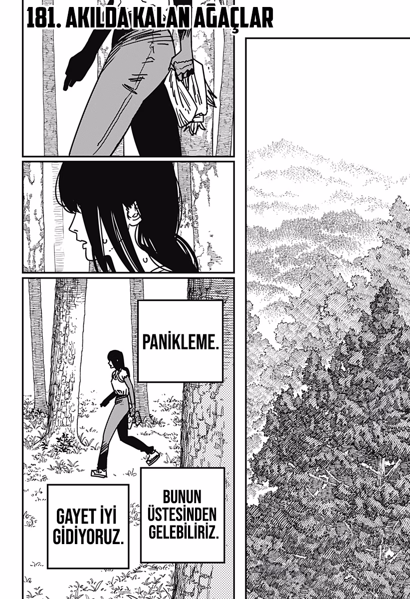 Chainsaw Man Bölüm 181 - Sayfa 1