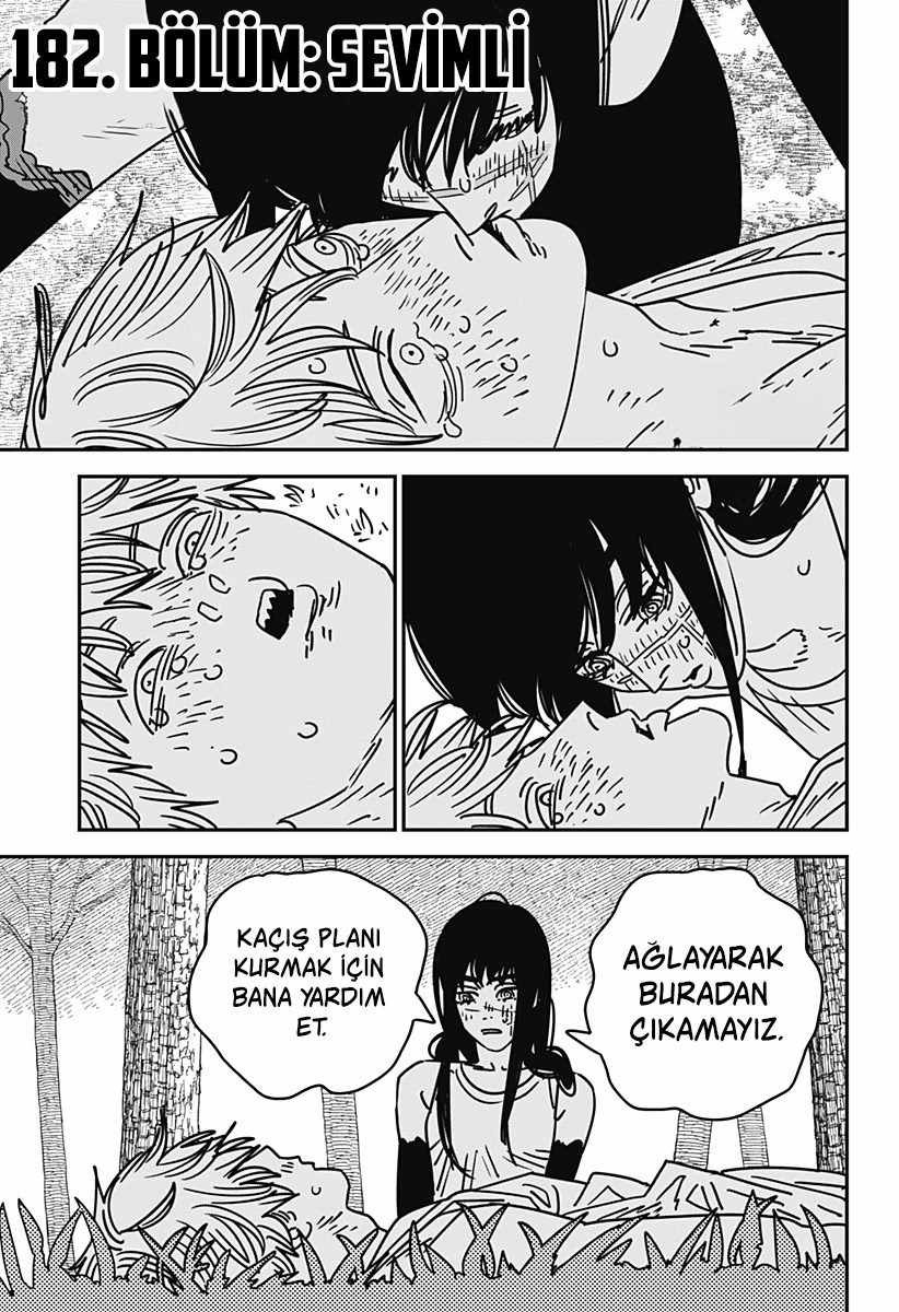 Chainsaw Man Bölüm 182 - Sayfa 1
