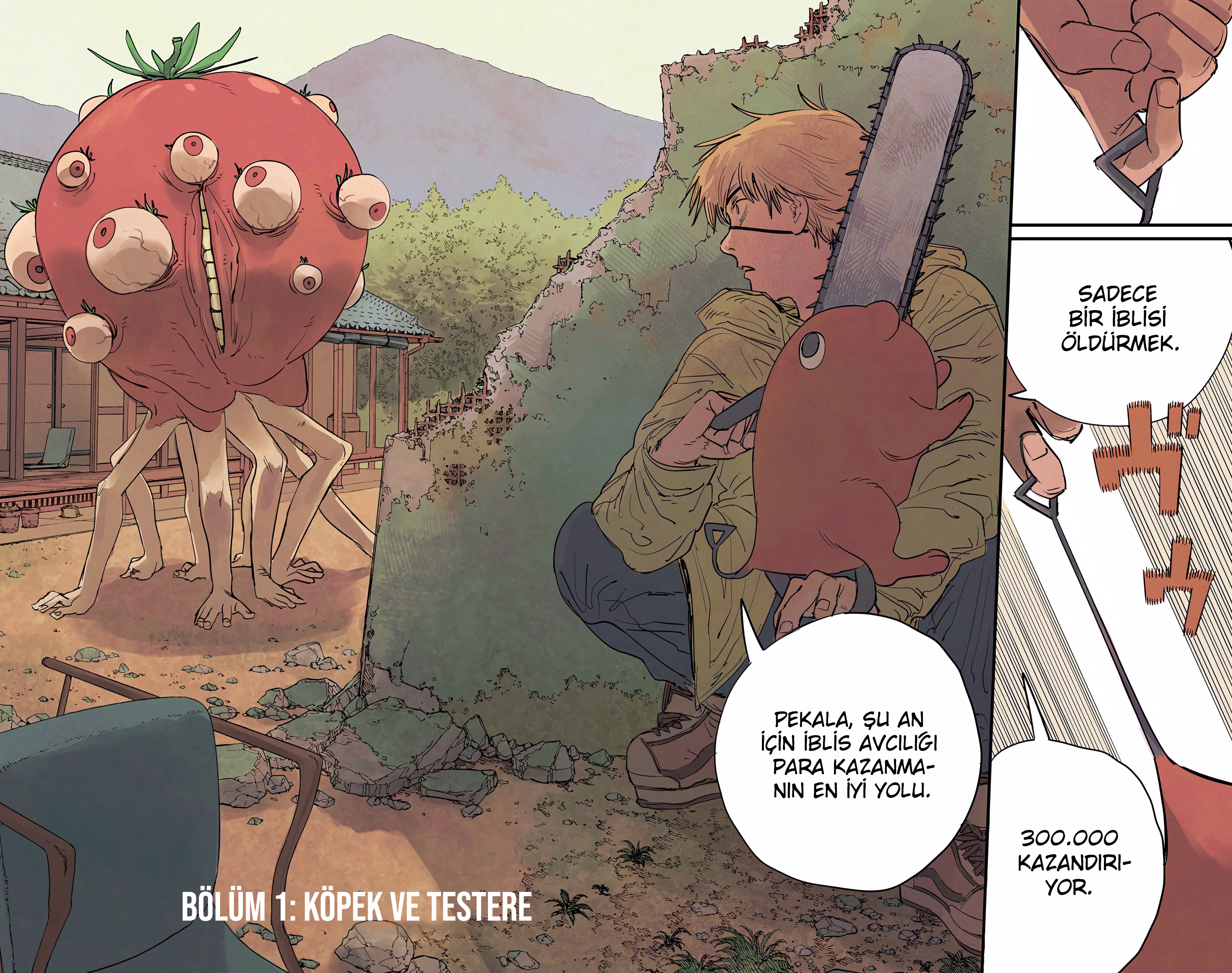 Chainsaw Man Bölüm 1 - Sayfa 3