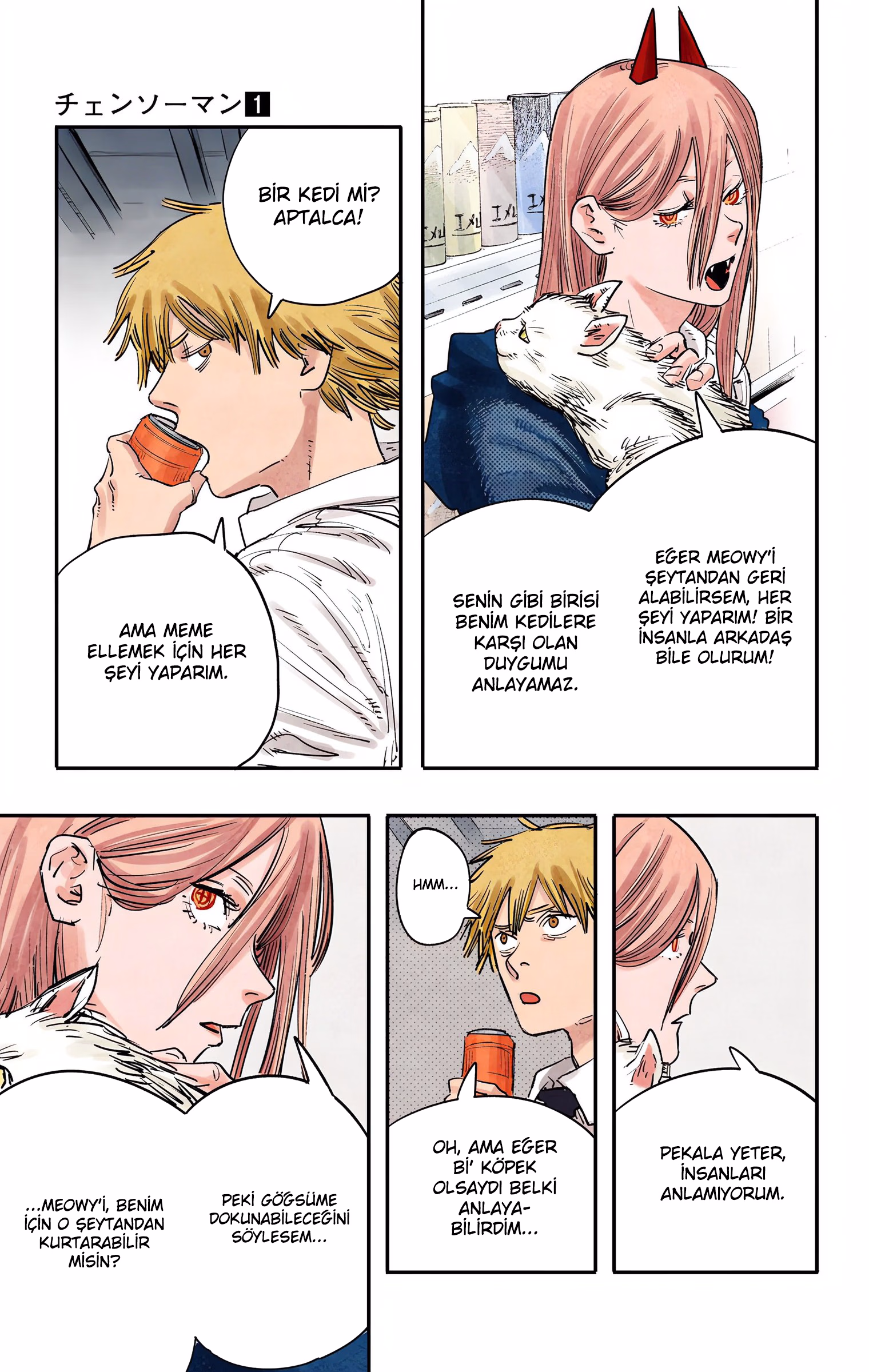 Chainsaw Man Bölüm 5 - Sayfa 17