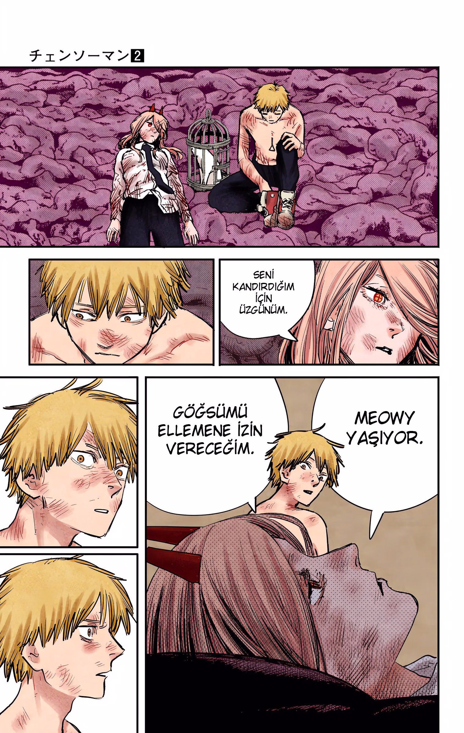 Chainsaw Man Bölüm 9 - Sayfa 11