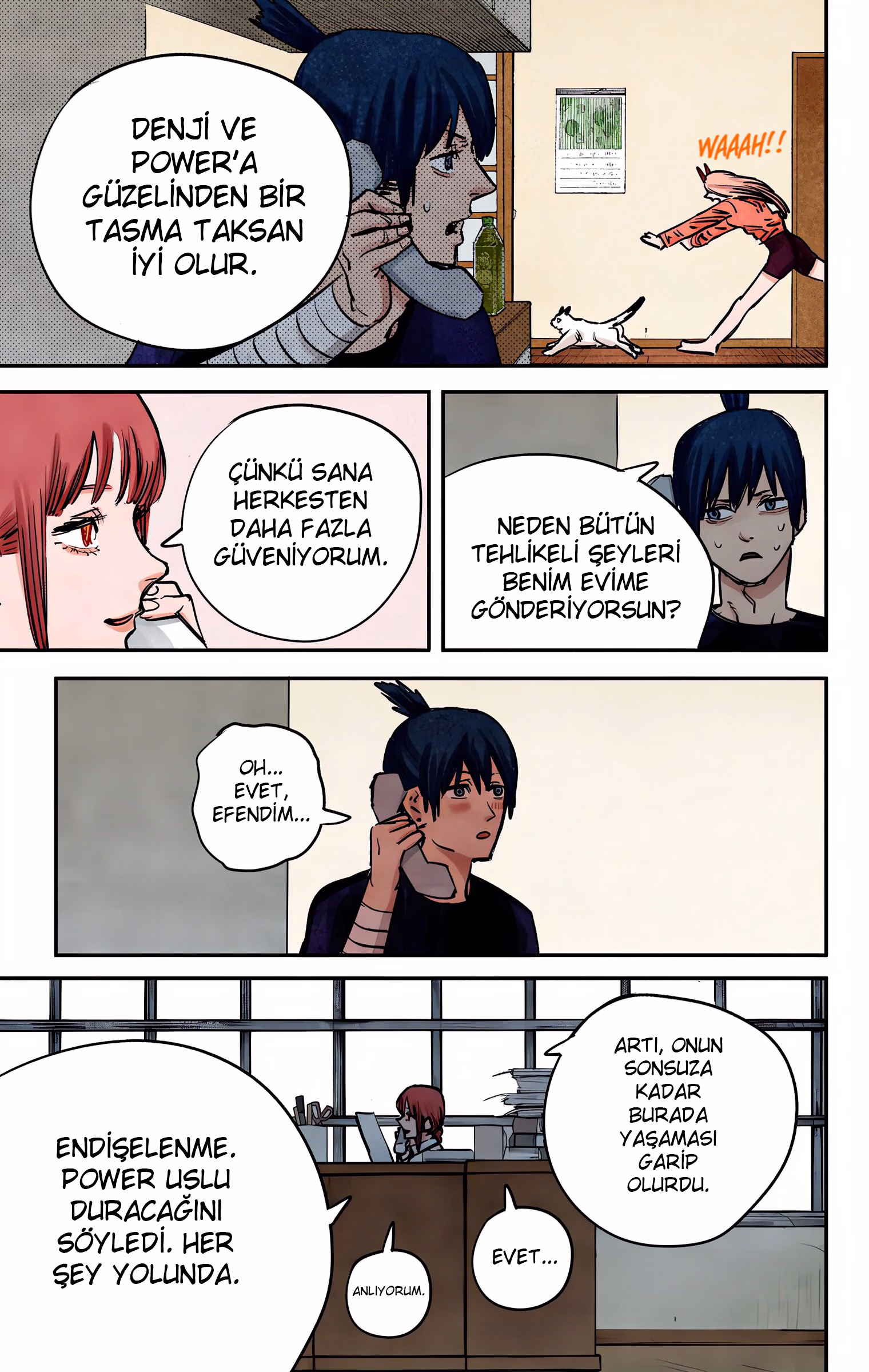 Chainsaw Man Bölüm 11 - Sayfa 13