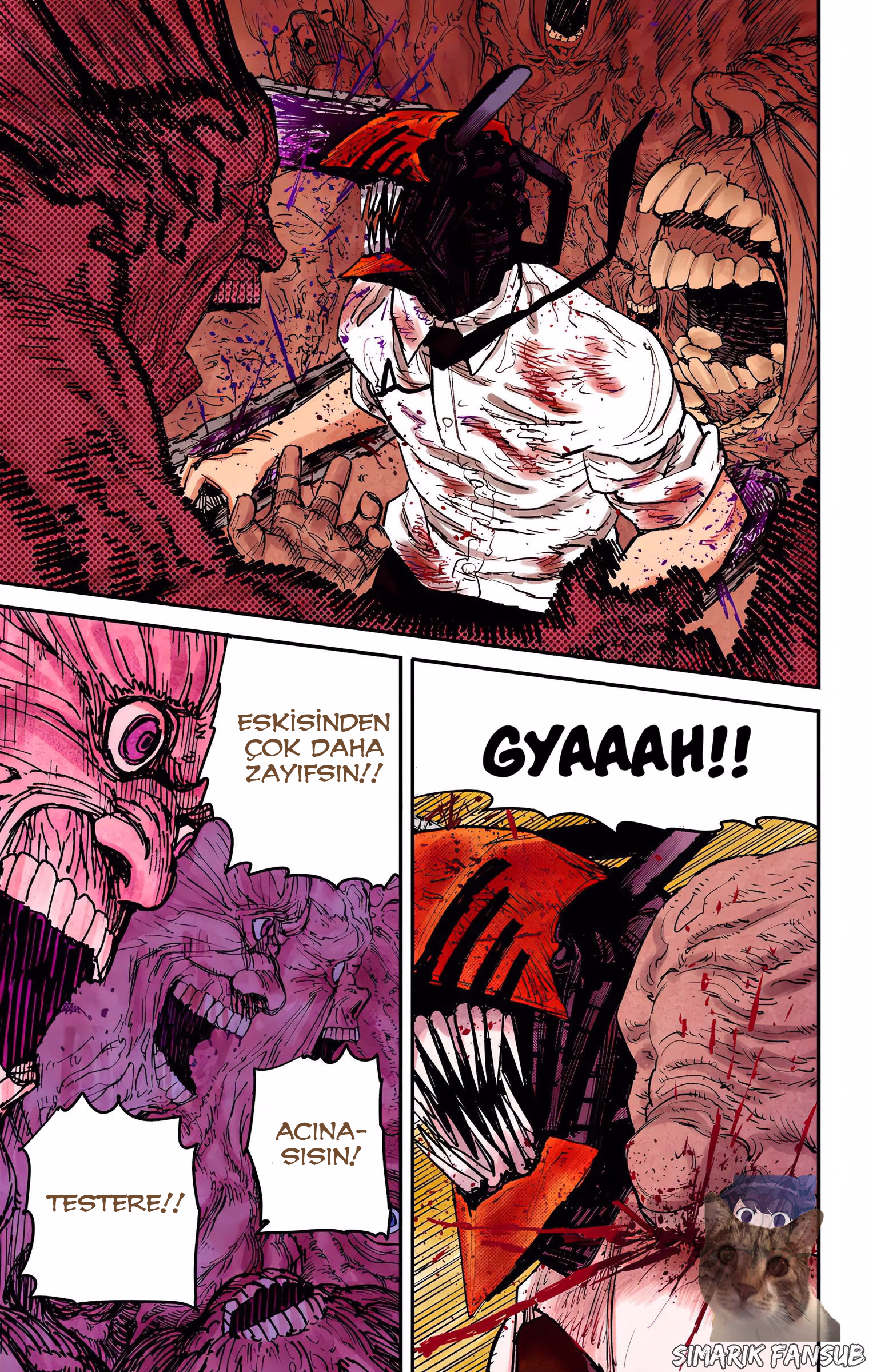 Chainsaw Man Bölüm 18 - Sayfa 19