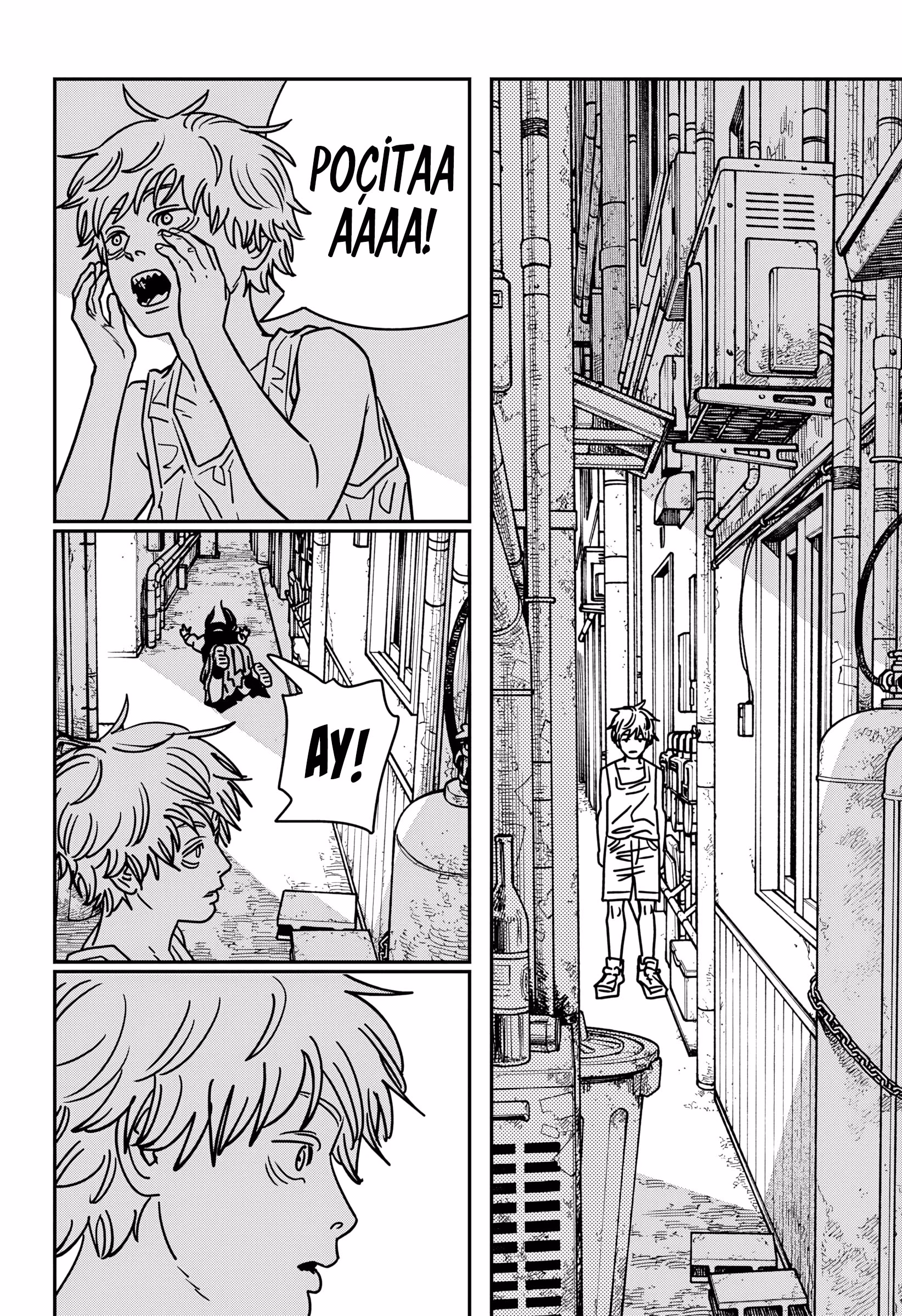 Chainsaw Man Bölüm 215 - Sayfa 12