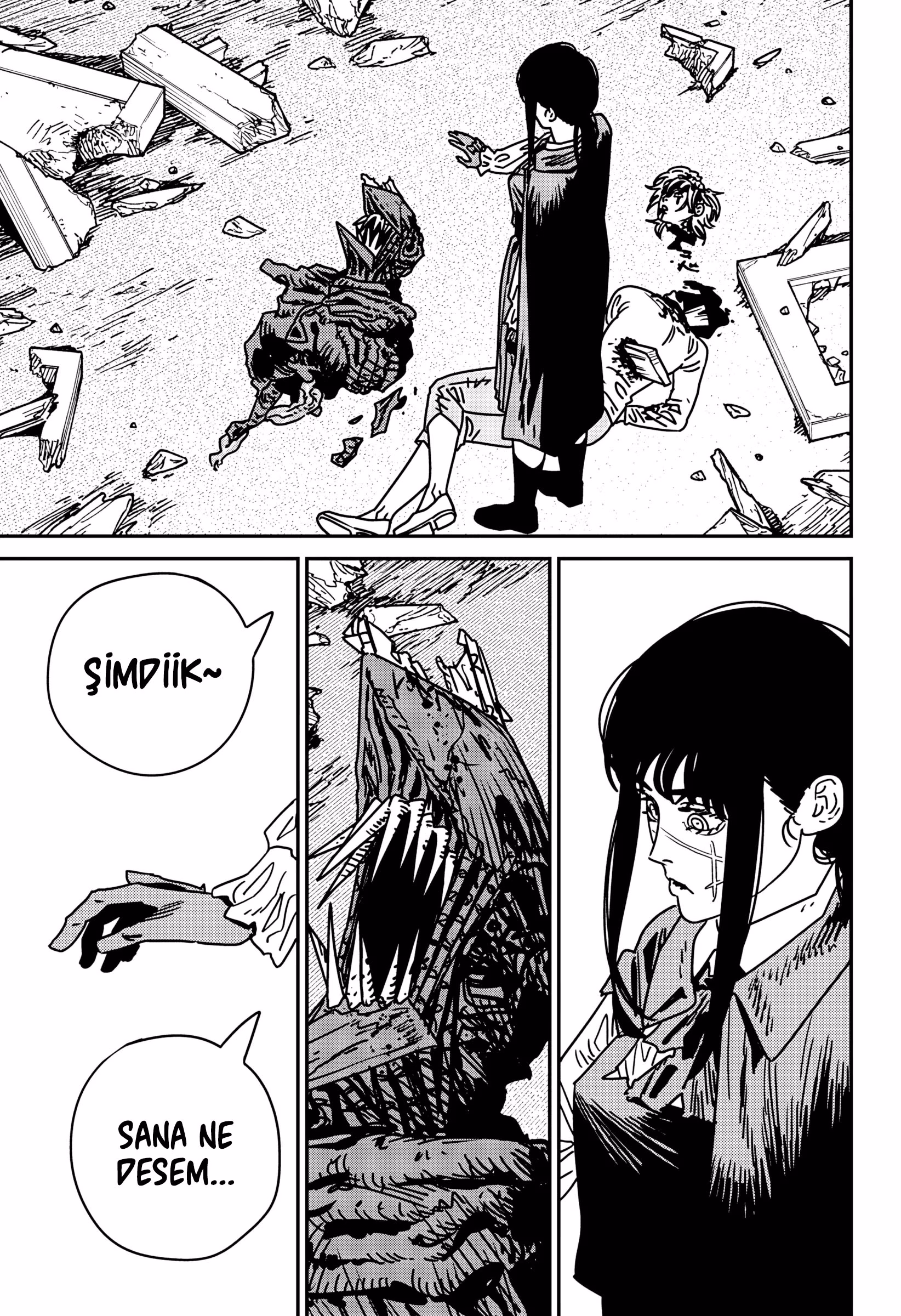 Chainsaw Man Bölüm 222 - Sayfa 10
