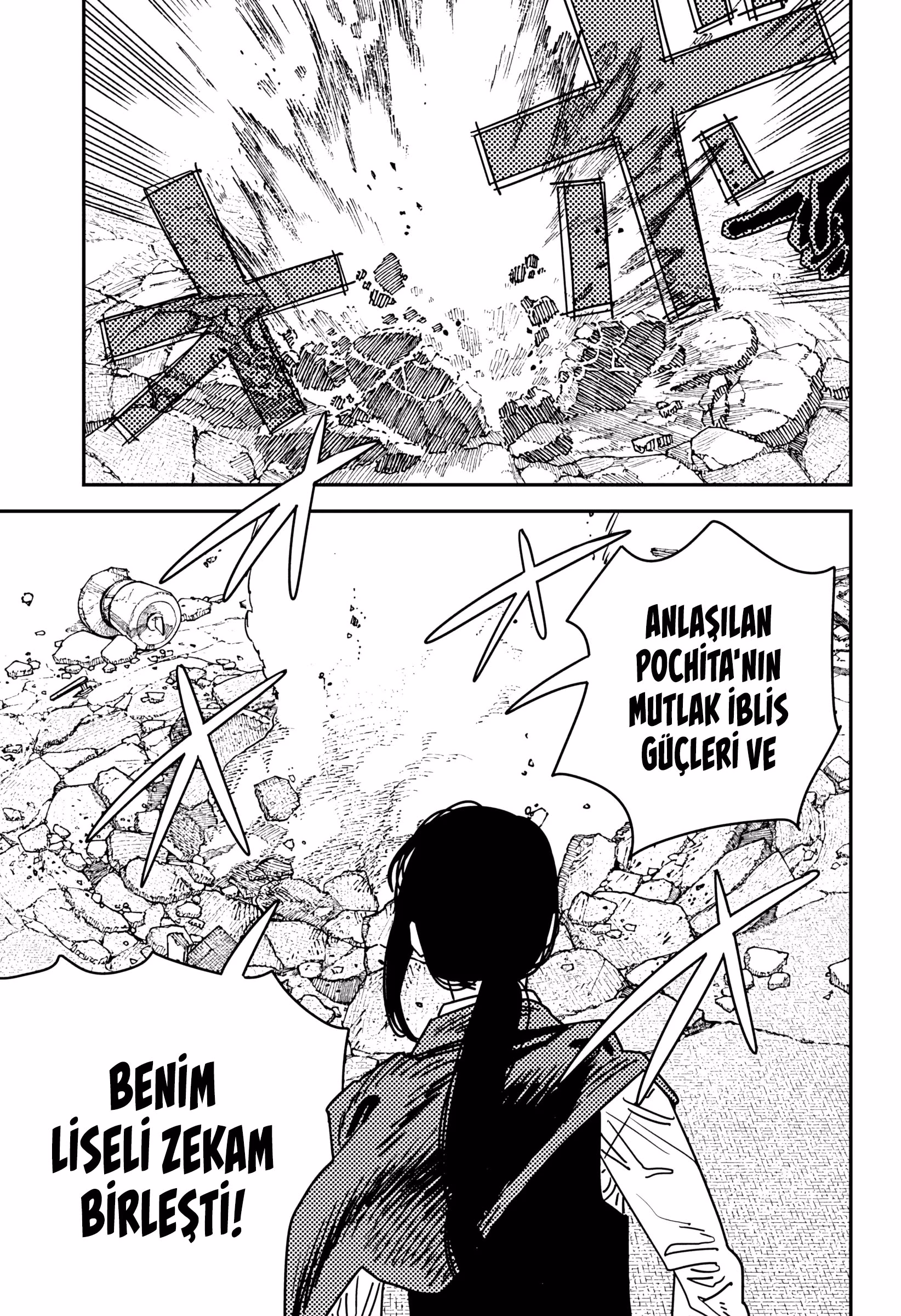 Chainsaw Man Bölüm 222 - Sayfa 14