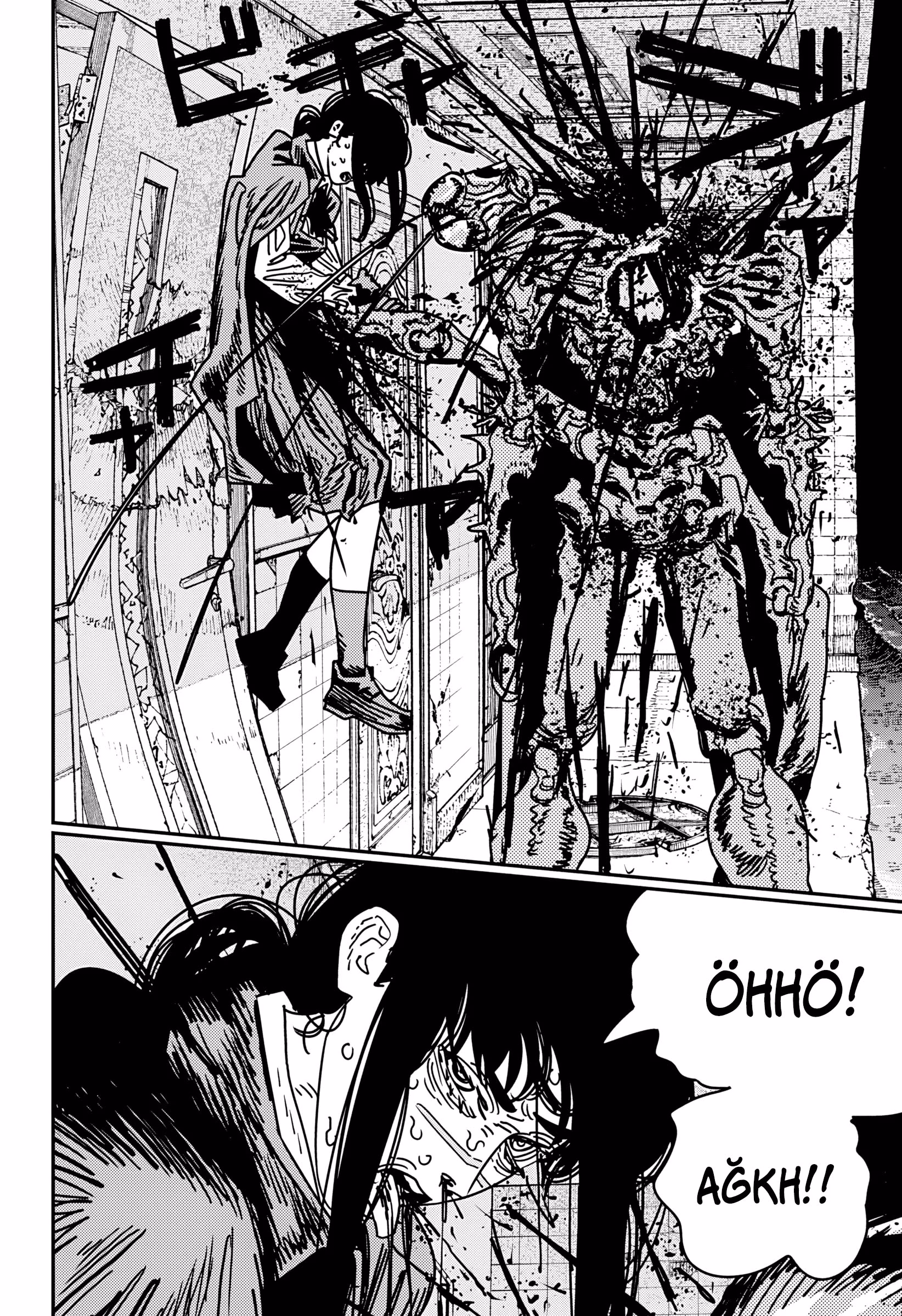Chainsaw Man Bölüm 226 - Sayfa 8