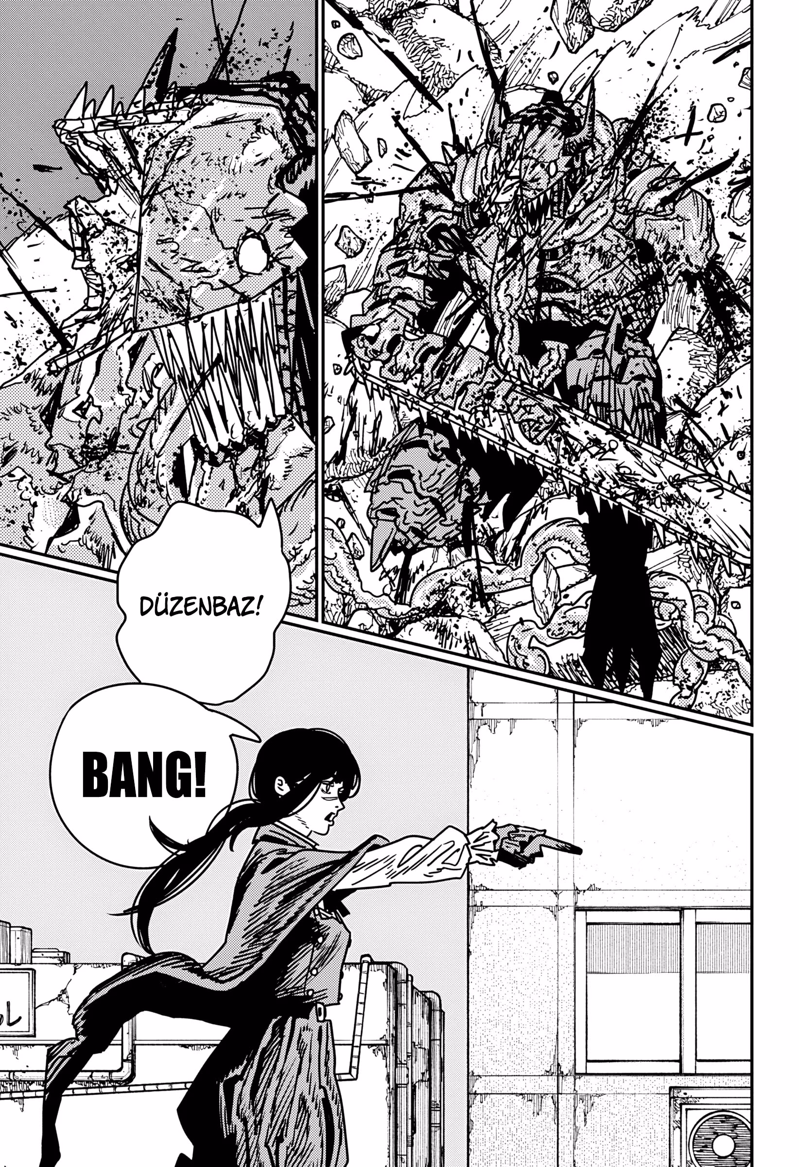 Chainsaw Man Bölüm 227 - Sayfa 12