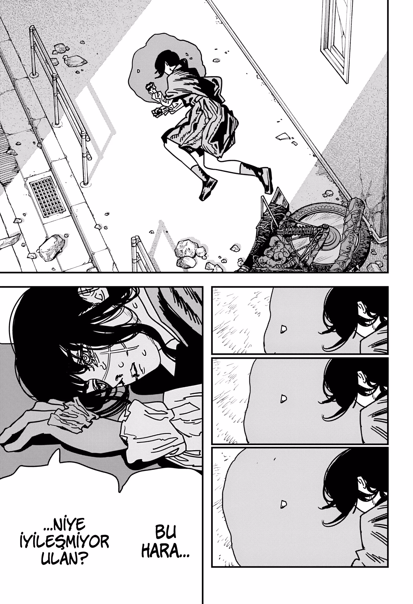 Chainsaw Man Bölüm 228 - Sayfa 12