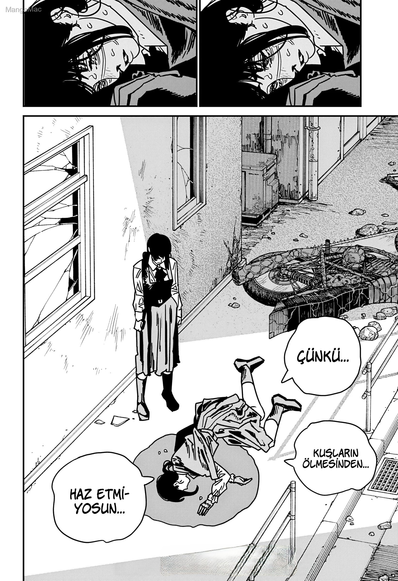 Chainsaw Man Bölüm 228 - Sayfa 15