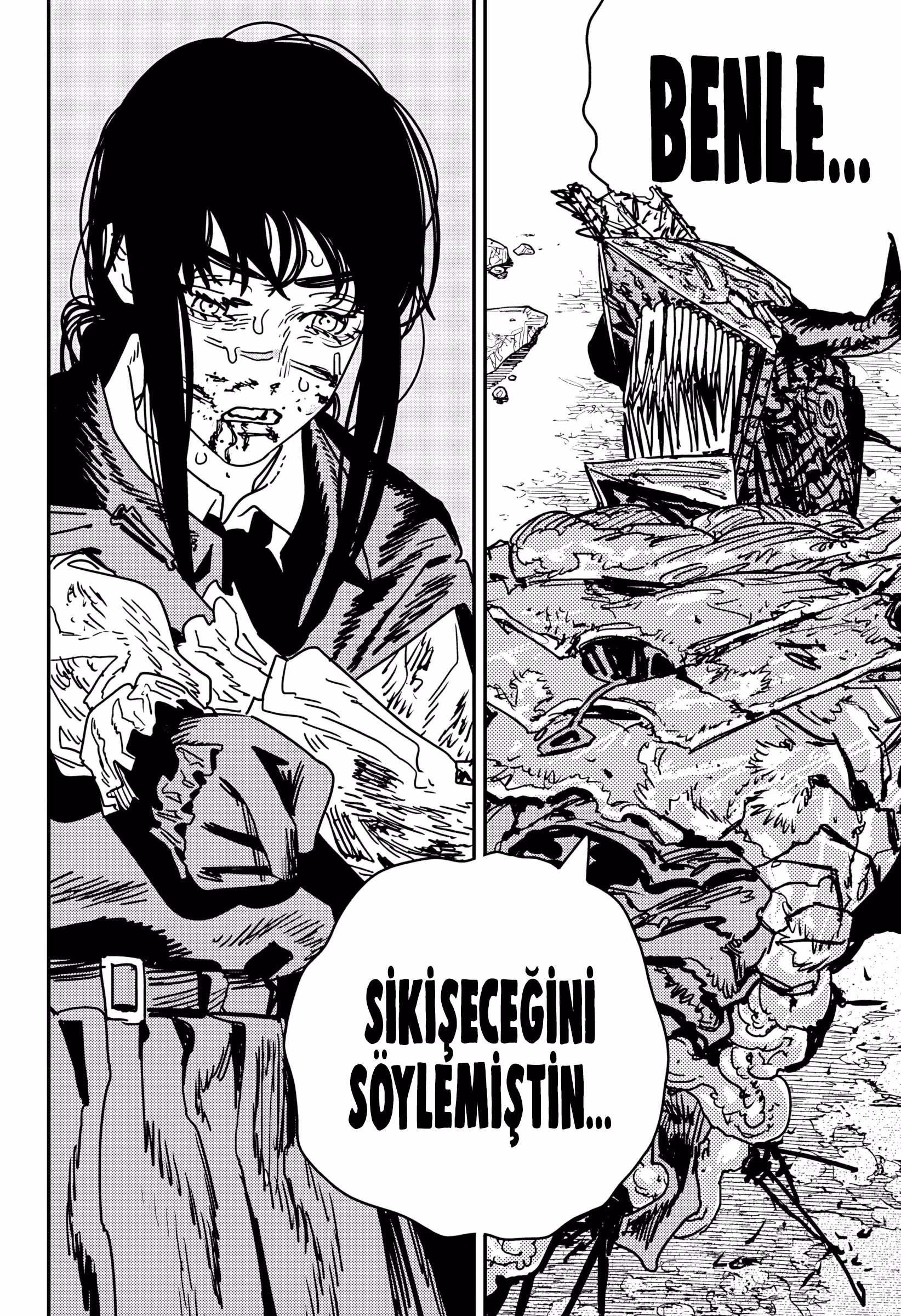 Chainsaw Man Bölüm 229 - Sayfa 13