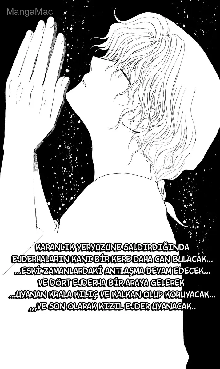 Akatsuki no Yona Bölüm 13 - Sayfa 2