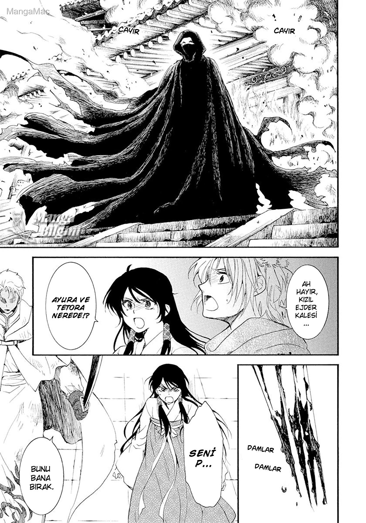 Akatsuki no Yona Bölüm 229 - Sayfa 25