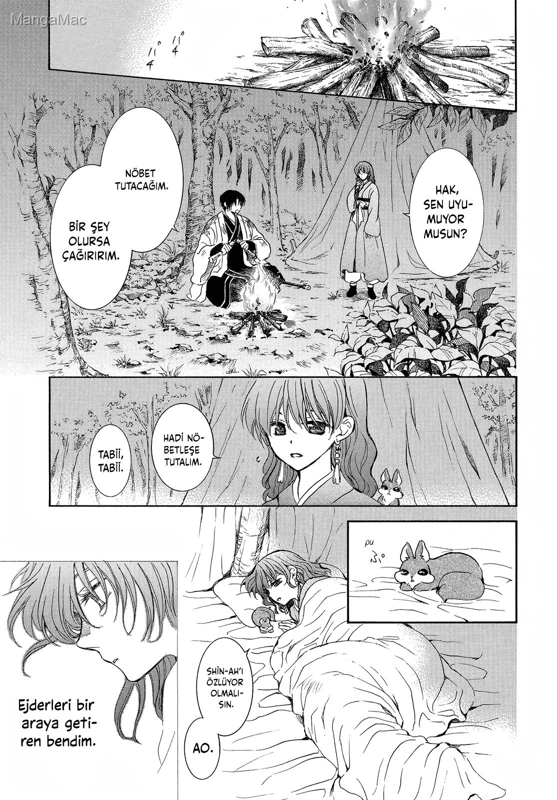 Akatsuki no Yona Bölüm 254 - Sayfa 12