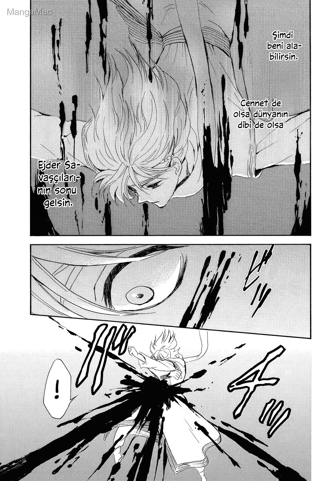 Akatsuki no Yona Bölüm 256 - Sayfa 3