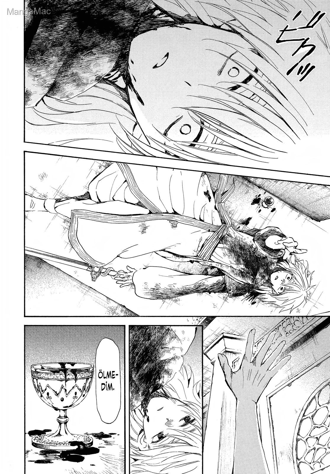 Akatsuki no Yona Bölüm 256 - Sayfa 11
