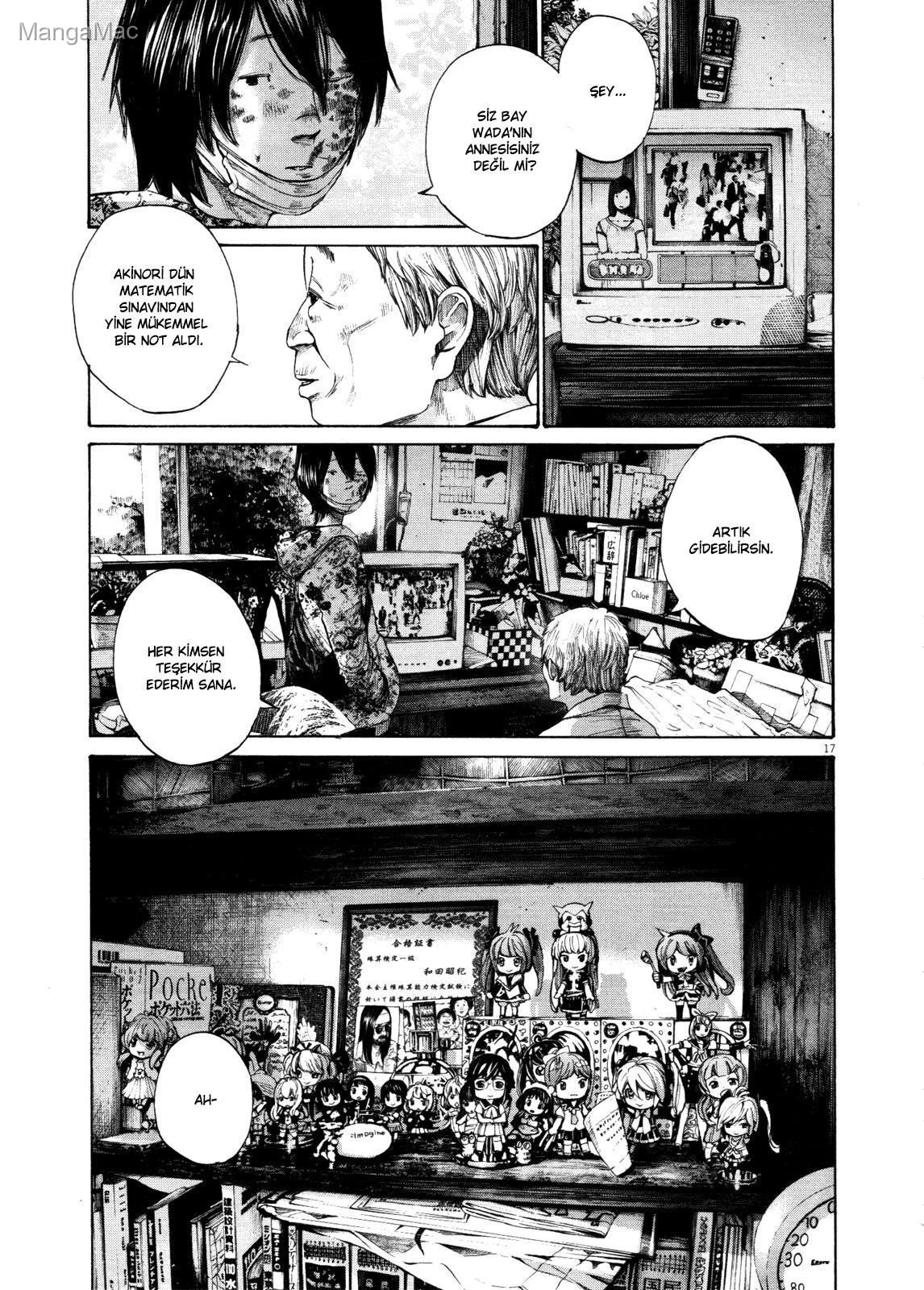 Sayfa 17