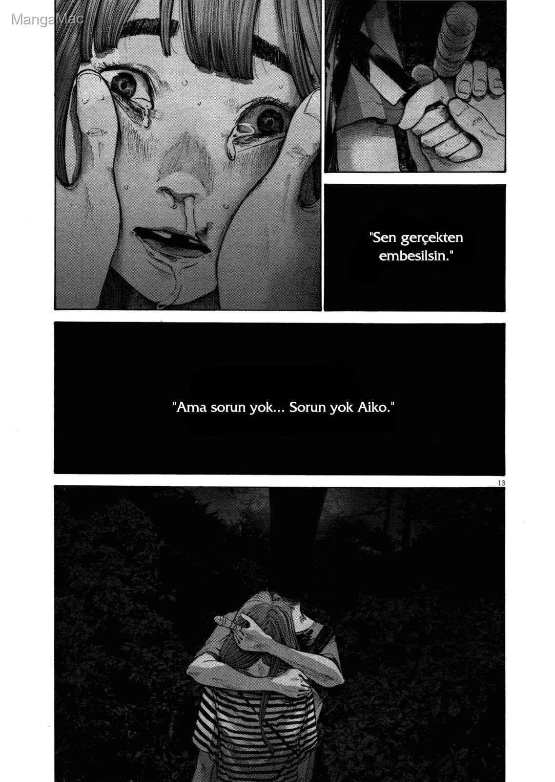 Sayfa 13