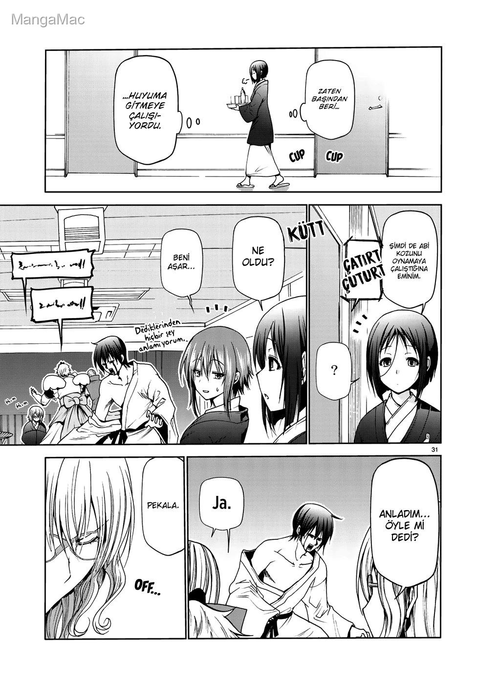 Sayfa 31