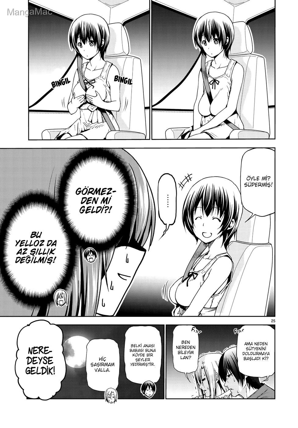 Sayfa 25