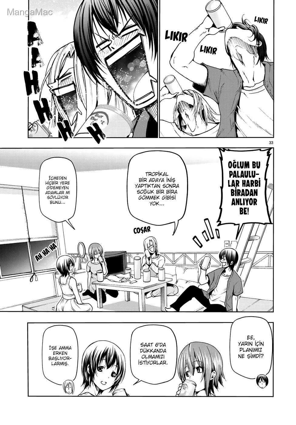 Sayfa 33