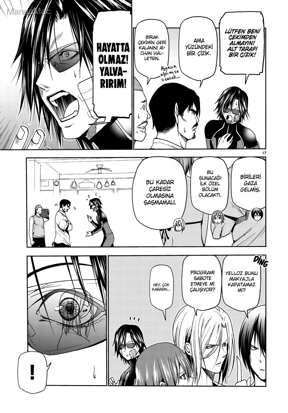 Sayfa 17