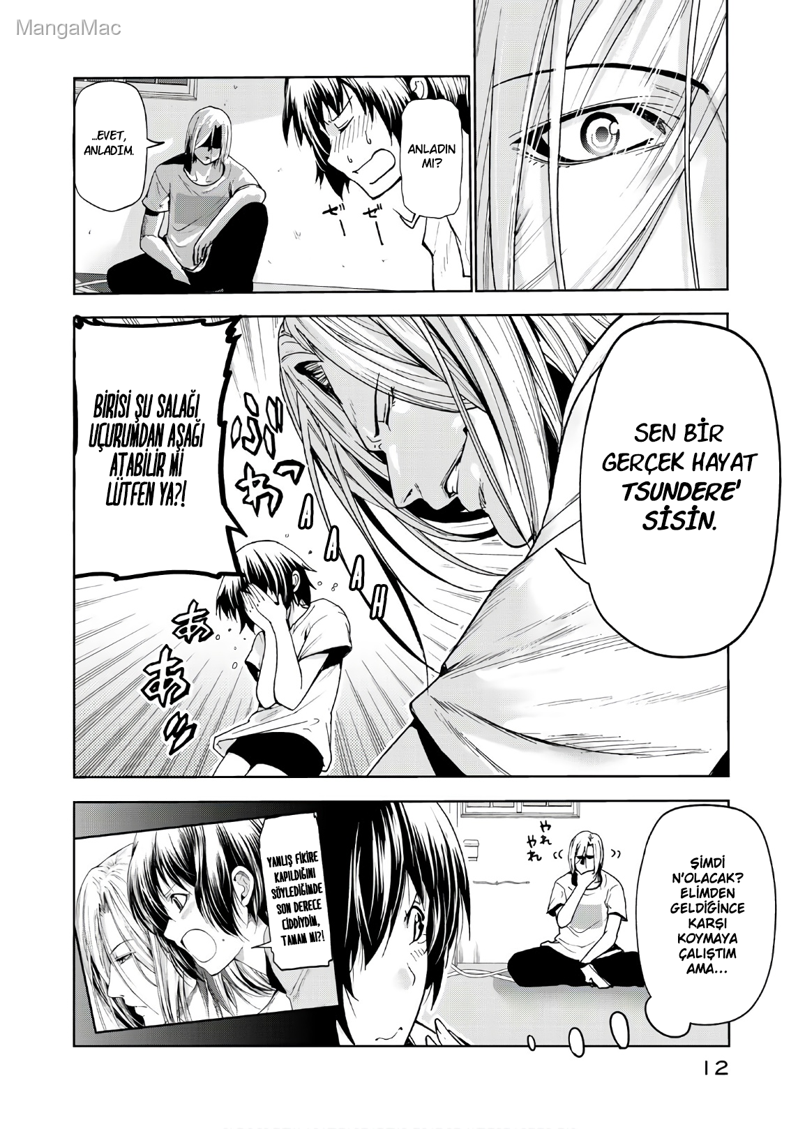 Sayfa 12