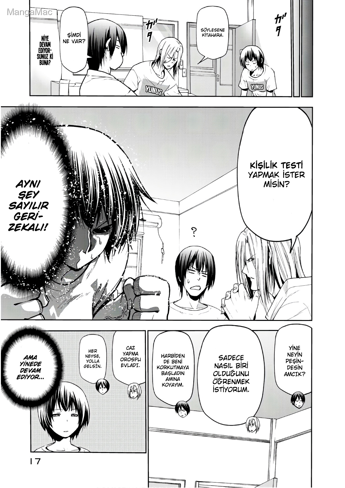 Sayfa 17