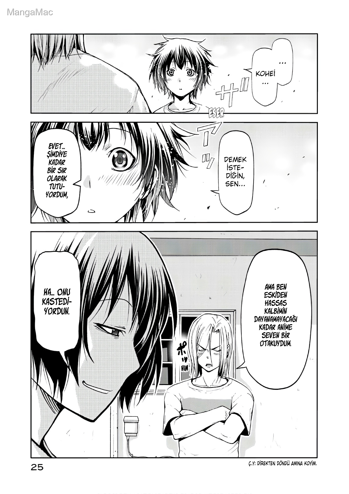 Sayfa 25