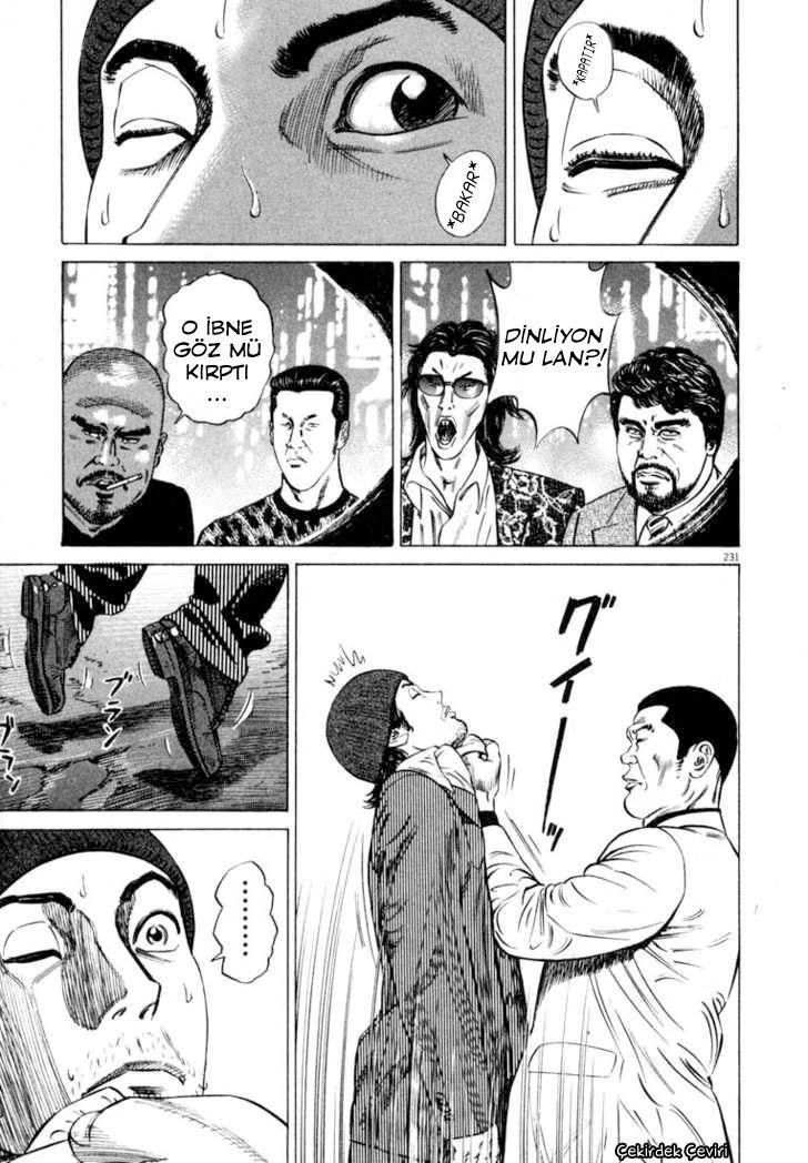 Sayfa 229