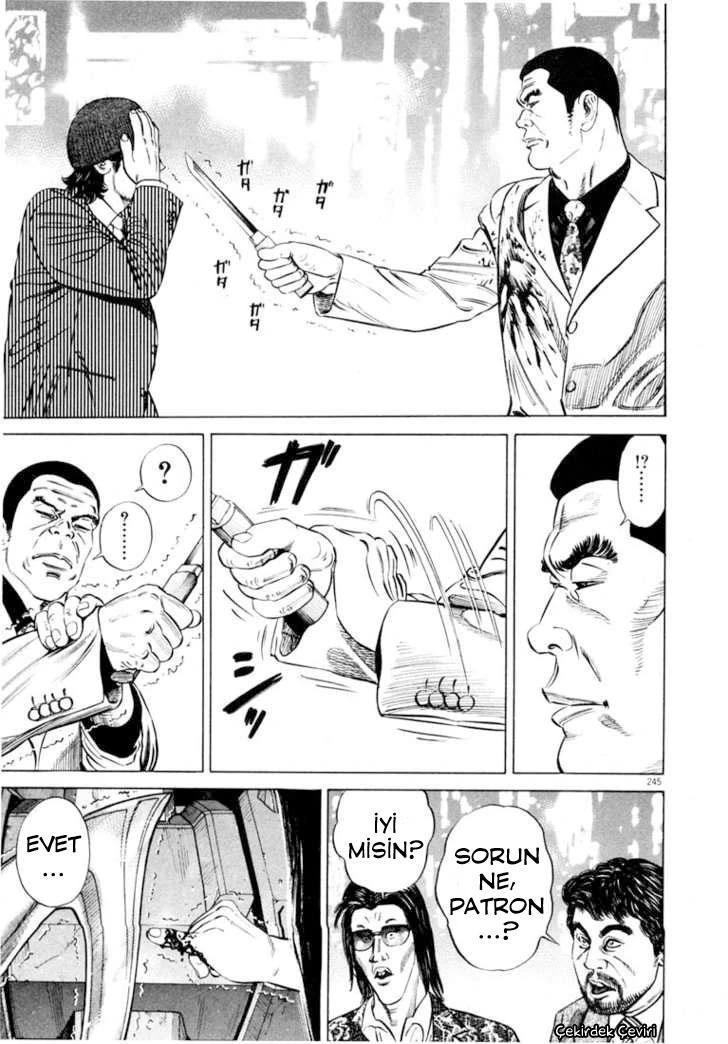Sayfa 243