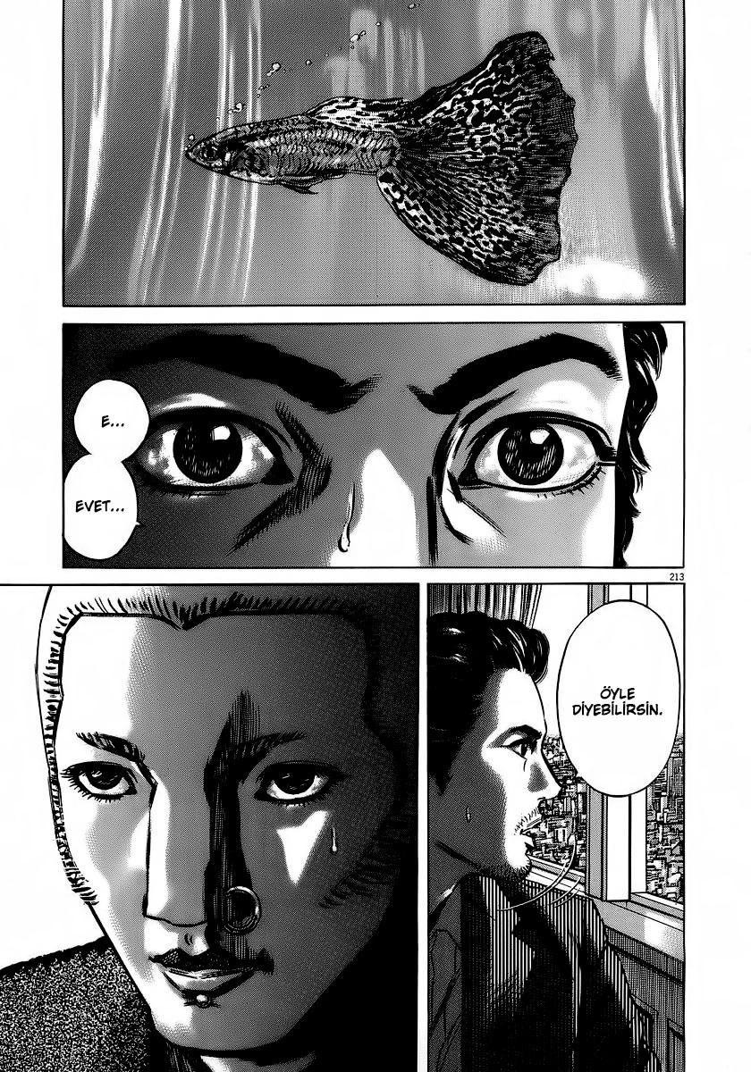 Sayfa 207