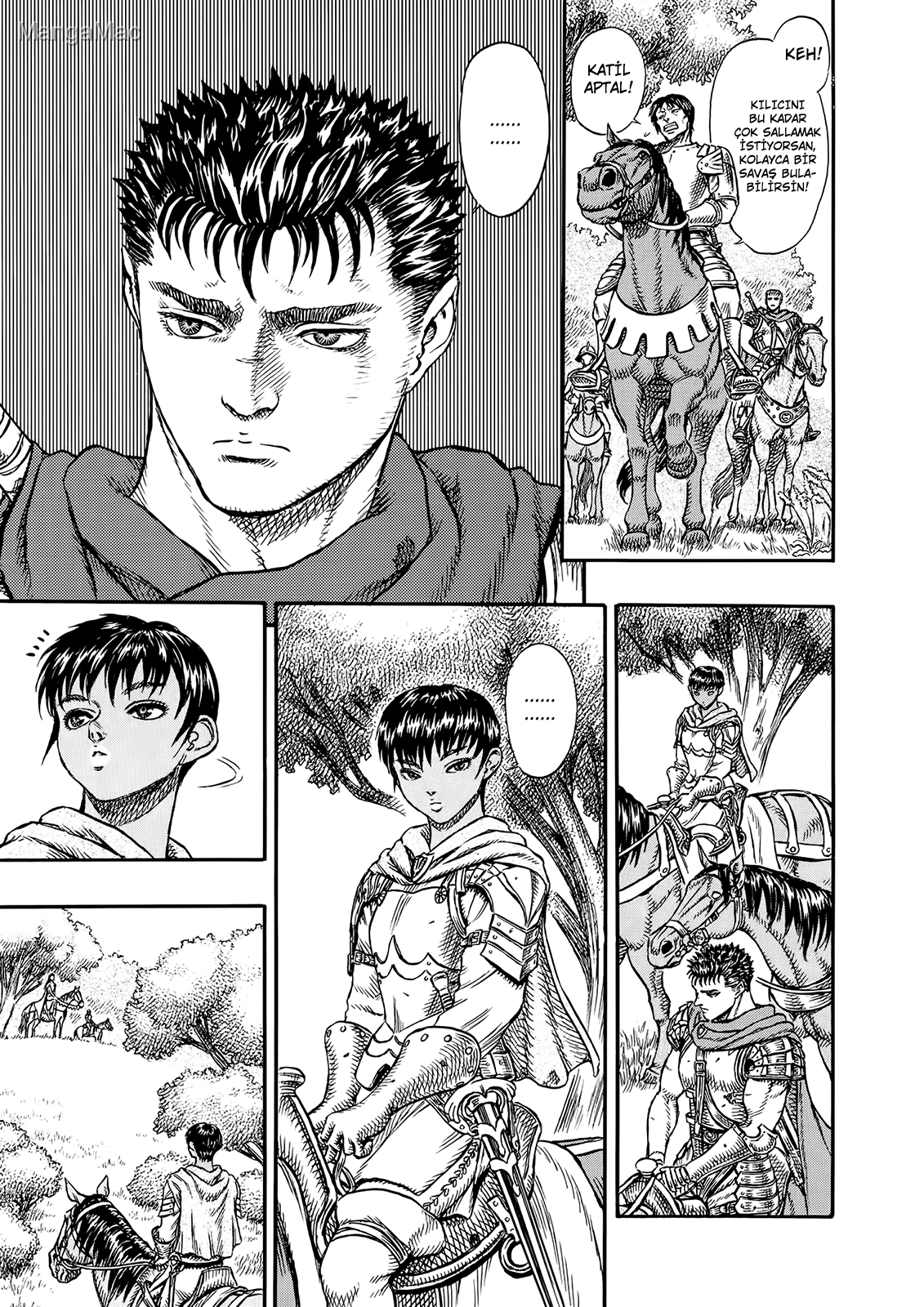 Berserk Bölüm 8 - Sayfa 9