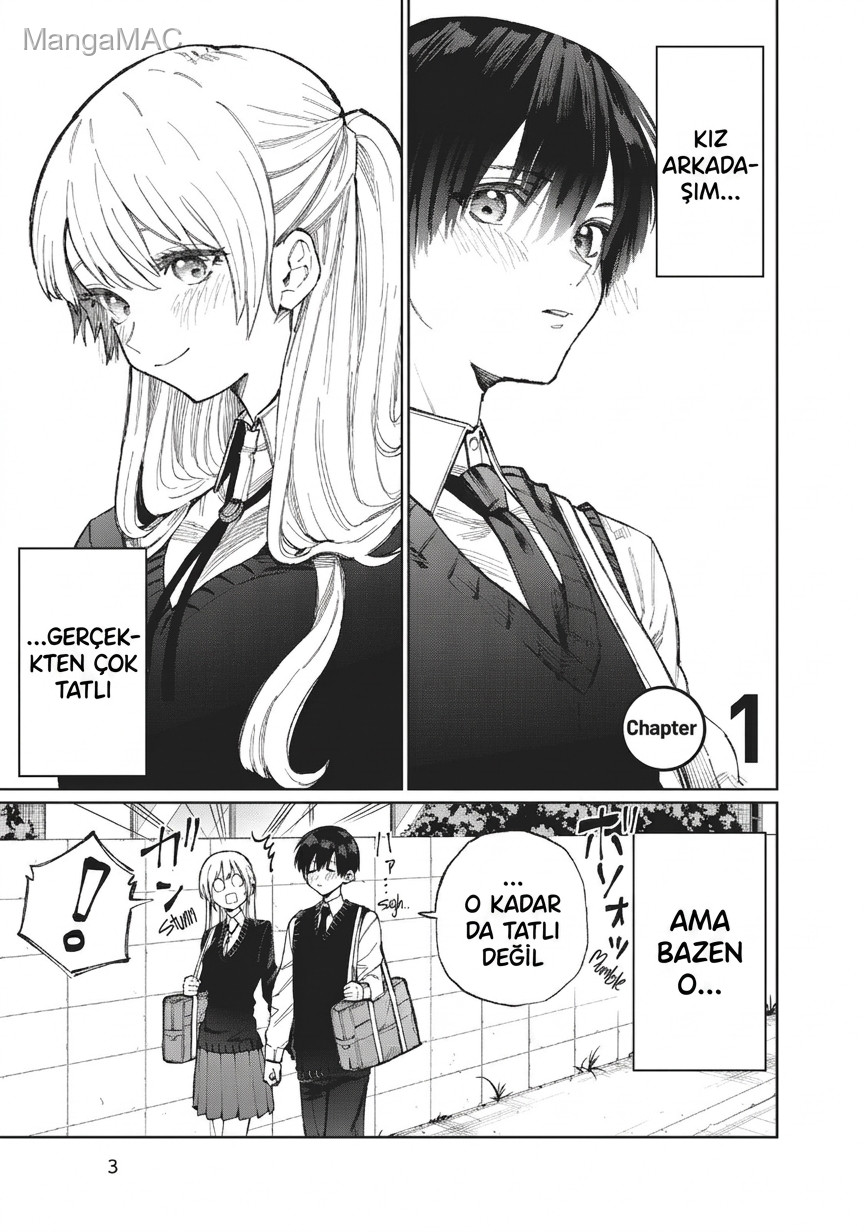 Shikimori's Not Just a Cutie Bölüm 1 - Sayfa 4