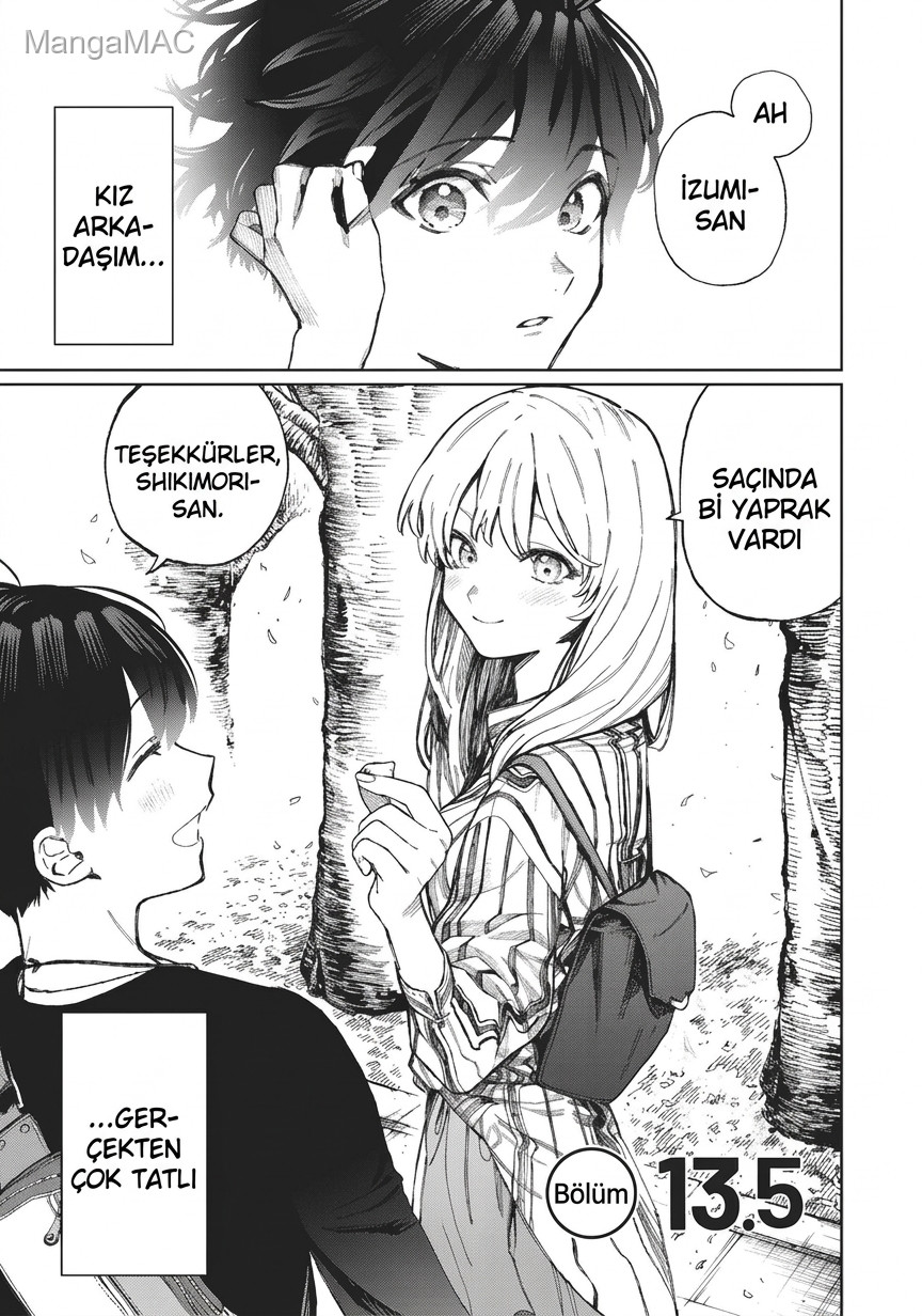 Shikimori's Not Just a Cutie Bölüm 13.5 - Sayfa 2